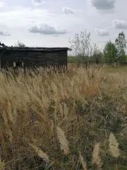 Земельный участок 2692 кв.м, жилой дом 54,3 кв.м, Рязанская обл., Клепиковский р-н, д.Томаково, Рязанская обл., Клепиковский муниципальный район, Бусаевское сельское поселение, деревня Томаково, уч. 3, 2692 кв.м., кадастровый номер: 62:05:2420101:2 и Здание жилое по адресу: Рязанская обл…