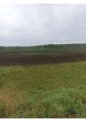 Земельный участок 1 527 600 кв.м, Курганская область 2/12 доли земельного участка в Курганской обл. еще 2/12 доли земельного участка в Курганской обл. еще 2/12 доля в праве на земельный участок, площадь: 1 527 600кв.м., адрес (местонахождение): Курганская область, р-н Куртамышский, с Пепелино, ТОО…