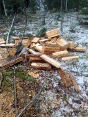 Сосна 2,08 м³. Древесина в виде фрагментов стволов деревьев породы «Сосна» (3 ВД/МВД/СО). Находятся на ответственном хранении по адресу: Красноярский край, Мотыгинский район, п. Первомайск, ул. Пилорамная, д. 3, кв. 2.