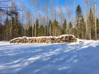 Дрова еловые, березовые, осиновые, липа, 64,08 куб.м, Кировская область: 1) Сортименты деревьев породы ель ОКПД 02.20.14.112 Дрова еловые – 7,64 куб.м.; 2) Сортименты деревьев породы берёза ОКПД 02.20.14.117 Дрова березовые – 47,24 куб.м.; 3) Сортименты деревьев породы осина ОКПД 02.20.14.118 Дрова…