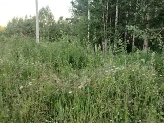 Земельный участок 1500 м², городской округ Ревда Зем. уч. пл. 1500 м2, СО, го Ревда, залог PAO Sberbank - Земельный участок с кадастровым номером 66:21:1401002:410, площадью 1 500 м², местоположение «Свердловская область, городской округ Ревда, севернее с. Кунгурка, урочище Дегтярные, сектор М…