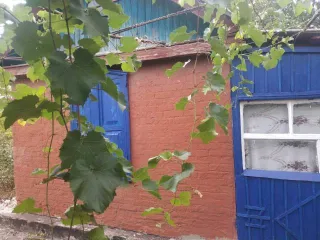 Нежилое здание 25 кв.м. и участок 898 кв.м., Донецк, Ростовская область. Здание 25 кв.м. и земельный участок 898 кв.м. в Донецке. Нежилое здание, общей площадью 25 кв.м., с кадастровым номером 61:50:0090106:153, находящееся на земельном участке общей площадью 898 кв.м, с кадастровым номером…