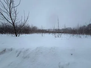 Земельный участок площадью 1266 кв.м, категория «земли населенных пунктов», вид разрешенного использования «Для индивидуального жилищного строительства» расположенного по адресу: Московская область, городской округ Кашира, д. Тарасково. Основной вид разрешенного использования: 2.1. Площадь…