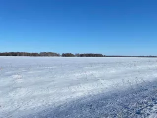 Доля в размере 1/2 в праве общей долевой собственности на земельный участок, категория земель: земли сельскохозяйственного назначения – для ведения сельскохозяйственного производства, площадь: 337 000 кв. м, кадастровый номер 54:13:025312:349, местоположение: Новосибирская область, Краснозерский…