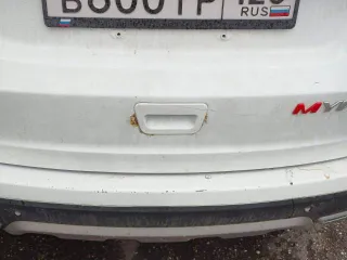 Lifan Myway, VIN: X9W64408MJ0000815, год выпуска 2017. В адрес финансового управляющего поступило заявление должника о намерении сохранения государственных регистрационных знаков за собой.