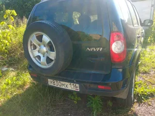 Chevrolet Niva 2011 года, 79 лс, автомобиль легковой, марка: CHEVROLET, модель: NIVA, VIN: X9L212300B0340070, гос. рег. номер: У830МХ116, год изготовления: 2011