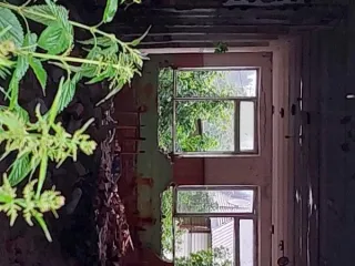 Нежилое здание детского сада площадью 311.9 кв.м, 1977 года ввода в эксплуатацию, расположенное по адресу: Пензенская область, Кузнецкий район, село Анненково, улица Рабочая, 26. Кадастровый номер здания: 58:14:0190201:676. Здание одноэтажное. Расположено на земельном участке площадью 2535 кв.м с…