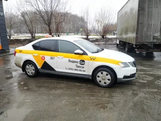 Skoda Octavia 2020 года выпуска, VIN XW8AN2NE6LH026490.
