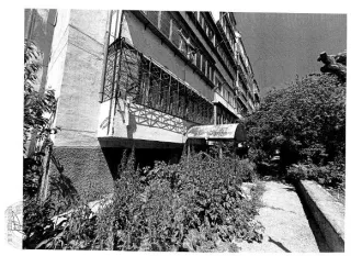 Нежилое помещение 255.5 кв.м, Севастополь, кадастровый номер 91:03:003005:618, расположенное по адресу: г. Севастополь, ул. Курганная, д. 24, помещ. с I-1 по I-30, цокольный этаж № б/н. Общая площадь: 255.5 кв.м. Расположение в пределах объекта недвижимости: цокольный этаж № б/н. Назначение…