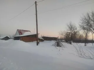 Земельный участок площадью 1498 кв.м по адресу: Алтайский край, Первомайский район, с. Первомайское, ул. Пролетарская, 37. Кадастровый номер: 22:33:020502:25. Вид разрешённого использования: 2.2. Регистрационный номер ЕГРОКН: