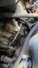 Gaz c41r92 2019 ГАЗ C41R92, 2019 года грузовой автомобиль, марка: ГАЗ, модель: C41R92, год изготовления: 2019 г.в., г/н: Х624НМ125, кузов №: A21R22K0110412 Требуется замена лобового стекла. 2. Сквозная коррозия на кабине над лобовым стеклом. 3. Имеются очаги ржавчины рамы. 4. Отсутствует…