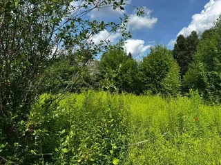 Земельный участок 490 кв. м и строение 16 кв. м в Удмуртской Республике. Категория земель: земли сельскохозяйственного назначения, разрешенное использование: для ведения гражданами садоводства и огородничества, для садоводства. Общая площадь участка 490 кв. м, адрес: Удмуртская Республика…