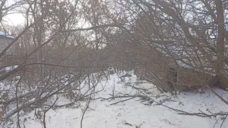 1/5 доля жилого здания 26 кв.м и 1/5 доля земельного участка 1500 кв.м Волгоградская обл, кадастровый номер: 34:06:110004:869 и 1/5 доля в праве на земельный участок, площадь: 1 500кв.м., категория земель: Земли населенных пунктов, разрешенное использование: Для ведения личного подсобного…