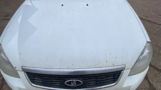 Автомобиль марки ВАЗ модель 217050, 2015 г.в. VIN-номер XTA217050F0514483, цвет белый
Автомобиль находится в залоге у ПАО "Совкомбанк" (ИНН 4401116480, ОГРН 1144400000425)