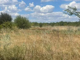 Земельный участок площадью 400 кв.м., категория земель: земли населенных пунктов, земельные участки, находящиеся в составе дачных, садоводческих и огороднических объединений, кадастровый № 61:21:0500101:1040. Адрес: Ростовская область, р-н. Матвеево-Курганский, с. Рясное, ул. Светлая, 25. Вид…