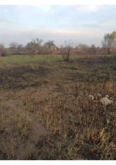 Земельный участок, 500 кв.м, Краснодарский край, г. Ейск, с/т "Виктория", дом 234, категория земель: Земли населенных пунктов, разрешенное использование: Земельные участки садоводческих товариществ, кадастровый номер: 23:42:0708002:155.
