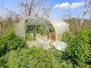 Конечно, пришлите текст объявления, и я его оптимизирую согласно вашим требованиям.