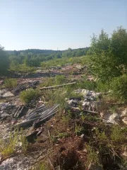 1/4 доля в праве собственности на земельный участок, категория земель: земли населенных пунктов, общей площадью 15440 +/- 43 кв.м., разрешенное использование: под промышленные предприятия (деревообрабатывающий цех, здание бытовых помещений, склад готовой продукции), кадастровый номер…