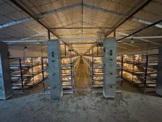 Имущественный комплекс в Татарстане: здание цеха забоя 1072 кв.м, контора 589.3 кв.м, гараж 294.6 кв.м, склад минеральных удобрений 1186.2 кв.м, арочный склад 657 кв.м, зернохранилища 620.4 кв.м и 625.5 кв.м, пункт технического обслуживания 388.7 кв.м, фуражный склад 1124.7 кв.м, зерносклады 629.2…