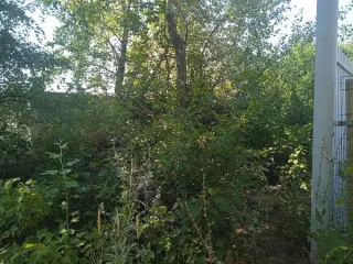 Земельный участок площадью 1000 кв.м, расположенный по адресу: Российская Федерация, Ростовская область, городской округ город Волгодонск, город Волгодонск, ул. Дружбы, земельный участок 2и. Кадастровый номер: 61:48:0040257:1212. Категория земель: земли населенных пунктов. Вид разрешенного…