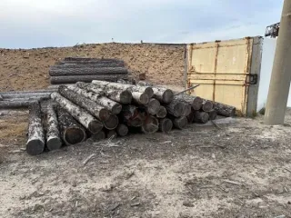 Drevesina assortiment. Древесина в ассортименте согласно приложению. Проверка исправности имущества не проводилась. Товаросопроводительные документы не передавались. Погрузка и транспортировка имущества с места хранения осуществляется покупателем силами и за его счет. Продавец не несет…