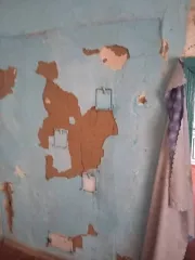 Жилой дом 27,7 кв.м и участок 1551+/-28 кв.м в Новосибирской обл., с. Дубровка. Земельный участок, площадь 1551 +/- 28 кв.м., назначение: для ведения личного подсобного хозяйства, адрес (местонахождение): Россия, обл Новосибирская, р-н Маслянинский, с. Дубровка, Ленина, участок 23, кадастровый…
