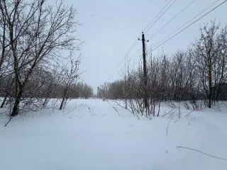 Земельный участок площадью 1046 кв.м, категория «земли населенных пунктов», вид разрешенного использования «Для индивидуального жилищного строительства» расположен по адресу: Московская область, городской округ Кашира, д. Тарасково. Основной вид разрешенного использования: 2.1. Площадь земельного…