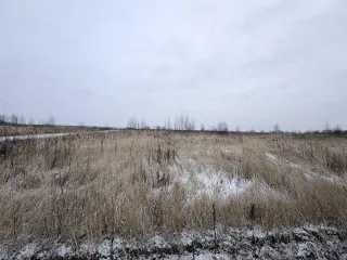 Земельный участок 600 кв.м в Московской области, городской округ Раменский, деревня Аргуново. Кадастровый номер: 50:23:0050573:1513. Площадь: 600 +/- 17 кв.м. Категория земель: сельскохозяйственного назначения. Вид разрешенного использования: для ведения садоводства.