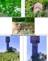 Движимое имущество - металлоконструкции, оставшиеся после реконструкции водонапорных башен, назначение имущества – металлолом Движимое имущество - металлоконструкции, оставшиеся после реконструкции водонапорных башен, назначение имущества – металлолом. Выставляются на торги единым лотом. 
