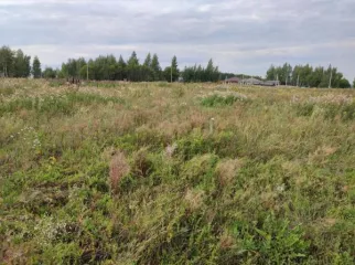 Земельный участок 1200 м², КН 50:38:0071506:516, основной вид разрешенного использования: 2.2.