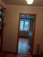 1/3 доля в квартире, кадастровый номер: 74:26:1102008:519-74