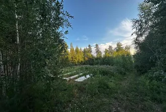 Земельный участок 814 м² Иркутская область общей площадью 814+/-6 кв.м. с кадастровым номером 38:26:015000:48, расположенный по адресу: Иркутская обл., Ангарский р-н, 5500 м.юго-западнее пос. Стеклянка, ул. Братская, уч.100