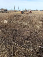 Земельный участок площадью 1400 кв.м, расположенный по адресу: Курганская область, Далматовский район, с. Новопетропавловское, ул. Советская, д. 25. Кадастровый номер: 45:04:040302:6. Продается 1/2 доля в праве собственности. На участке находится незарегистрированное строение (кад. номер…