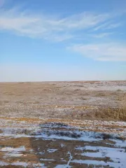 Право собственности на 1/80 доли в праве общей долевой собственности на земельный участок площадью 2 976 000 кв. м, кадастровый номер 30:07:240401:541, расположенный по адресу: Астраханская обл., Лиманский р-н, в 7,2 км юго-западнее с. Заречного, с севера ерик Хатавинский, с юга а/д Астрахань-Лиман…