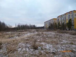 Земельный участок с кадастровым номером 47:07:1039005:780 общей площадью 3 213 кв.м расположен по адресу: Ленинградская область, Всеволожский муниципальный район, Всеволожское городское поселение, г. Всеволожск