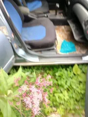 Nissan Almera, 2005 года, 116 лс, 300000 км транспортное средство – легковой автомобиль марка/модель – Nissan Almera, год выпуска – 2005, VIN – SJNBBAN16U2654632