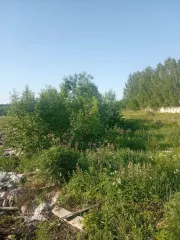 1/4 доля в праве собственности на земельный участок, категория земель: земли населенных пунктов, общей площадью 15440 +/- 43 кв.м., разрешенное использование: под промышленные предприятия (деревообрабатывающий цех, здание бытовых помещений, склад готовой продукции), кадастровый номер…
