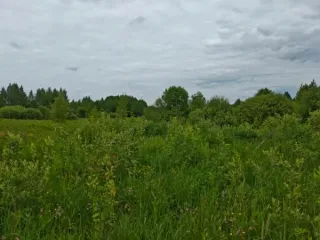 Земельный участок 1133 кв.м, Московская область, кадастровый номер 50:29:0010404:3236, основной вид разрешенного использования 2.2