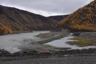 Лицензия на право пользования недрами серия ЯКУ №02357 БЭ с целью разведки и добычи золота на рассыпном месторождении р. Нера-Антагачан в Республике Саха (Якутия), срок действия до 31 декабря 2025 года. Лицензионный участок недр - Республика Саха (Якутия), Оймяконский улус (район), 57 км к…