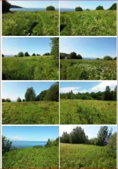 Земельный участок 1.9 га в Вологодской области, кадастровый номер: 35:01:0301004:213. Назначение: для сельскохозяйственного использования, общая площадь 19000+/-381 кв.м. Местоположение установлено относительно ориентира — здание новой часовни. Участок находится примерно в 1350 м по направлению на…