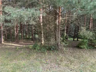 Земельный участок КН 50:36:0020511:1084 1348 кв.м Московская область, площадь земельного участка: 1348, кадастровый номер земельного участка: 50:36:0020511:1084, основной вид разрешенного использования: 2.1