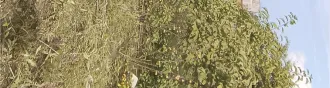 Земельный участок с кадастровым номером 72:01:0104001:594, площадью 493 +/  16 кв. м, расположенный по адресу: Тюменская область, Абатский район, территория СНТ «Строитель», ул. № 7, участок 18, с расположенным на нем кирпичным строением  дачный дом  площадью 16 кв. м. Земельный участок с…