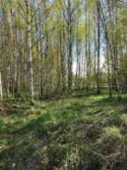 Земельный участок, 76:09:093401:2343, Ярославская обл., Некрасовский р-н, с/о Климовский, 1534 +/-27 кв.м.