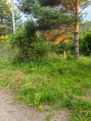 Земельный участок площадью 76942 ± 2427 кв. м, кадастровый номер 60:17:0081707:26. Местоположение установлено относительно ориентира, расположенного в границах участка. Ориентир уч. Ольгино. Участок находится примерно в районе по направлению на северо-запад от ориентира. Почтовый адрес ориентира…