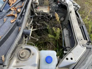 LADA Granta 2022, VIN XTA219070N0827942, госномер С446КН126.