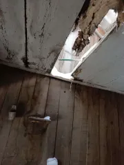 1/5 доли в жилом доме (кадастровый номер: 42:06:0101001:1839, площадь: 43,6 кв.м., местонахождение: Кемеровская область, Ленинск-Кузнецкий район, с. Красное, ул. Кирова, д.83) и 1/5 доли на земельный участок (кадастровый номер: 42:06:0101001:665, площадь: 1 576 кв.м., виды разрешенного…