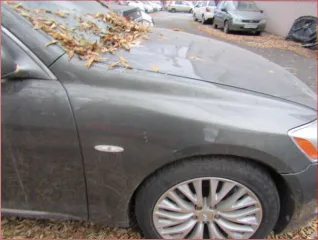 Lexus GS300 2006 года, VIN: JTHBH96SX05041803, госномер: Х014ЕО774.