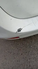 LADA Largus 2017, модель: Largus RS045L, год выпуска: 2017, VIN: XTARS045LJ1064973. Ознакомление по договоренности по телефону 79619149922.