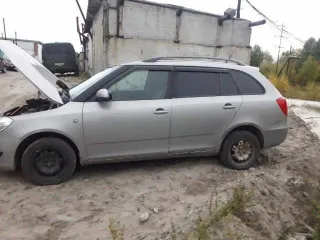 Skoda Fabia 2010 года, 86 л.с., 306283 км, легковой автомобиль, VIN-TMBJC45J4B3126349