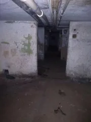 Встроенные нежилые помещения площадью 225,3 кв. м (кадастровый номер 59:01:4311011:754), в подвале многоквартирного дома. Адрес: Пермский край, г. Пермь, Мотовилихинский район, ул. Степана Разина, д. 34/3. Помещения пустуют. Общая площадь: 225.3. Кадастровый номер: 59:01:4311011:754.